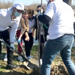 Acțiune de voluntariat excepțională în Parcul Lunca Argeșului (2)