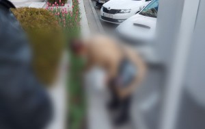 Femeie prinsă în timp ce fura lalele din zona centrală a Piteștiului