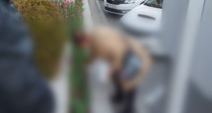 Femeie prinsă în timp ce fura lalele din zona centrală a Piteștiului