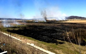 Incendiu de vegetație uscată, în zona pasarelei spre Uzină