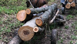 furt de lemne