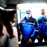 Jandarmii argeșeni au ajutat la salvarea a doi pui de urs (1)