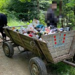 Amendă de 1000 de lei pentru un bărbat care a aruncat gunoiul în pădure (3)