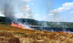 Incendiu de vegetație uscată în comuna Stolnici