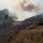 Incendiu la un lan de grâu în comună Buzoiești (1)
