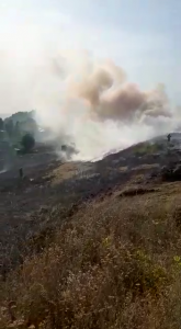 Incendiu la un lan de grâu în comună Buzoiești (1)