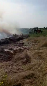 Incendiu la un lan de grâu în comună Buzoiești (11)