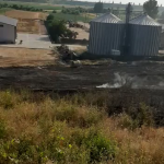 Incendiu la un lan de grâu în comună Buzoiești (13)