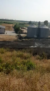 Incendiu la un lan de grâu în comună Buzoiești (13)