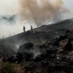 Incendiu la un lan de grâu în comună Buzoiești (2)