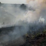 Incendiu la un lan de grâu în comună Buzoiești (3)
