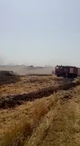 Incendiu la un lan de grâu în comună Buzoiești (4)