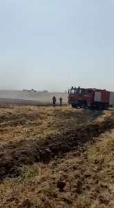 Incendiu la un lan de grâu în comună Buzoiești (5)