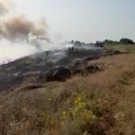 Incendiu la un lan de grâu în comună Buzoiești (7)