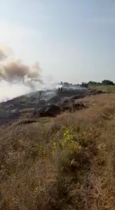 Incendiu la un lan de grâu în comună Buzoiești (7)