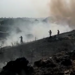 Incendiu la un lan de grâu în comună Buzoiești (8)