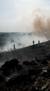 Incendiu la un lan de grâu în comună Buzoiești (8)