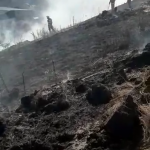 Incendiu la un lan de grâu în comună Buzoiești (9)