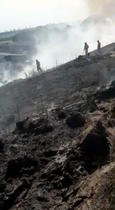 Incendiu la un lan de grâu în comună Buzoiești (9)