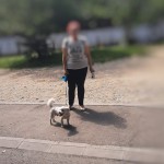 Sancțiuni aplicate pentru neridicarea mizeriei create de câinele scos la plimbare (2)