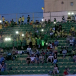 Spectacol pe stadionul din Mioveni (10)