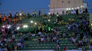 Spectacol pe stadionul din Mioveni (10)