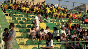 Spectacol pe stadionul din Mioveni (27)