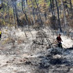 Pompierii argeşeni mai pot sta două săptămâni în Grecia (2)