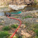 Pompierii argeşeni mai pot sta două săptămâni în Grecia (3)