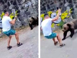 Tânăr atacat de urs la Vidraru
