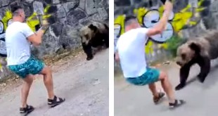 Tânăr atacat de urs la Vidraru