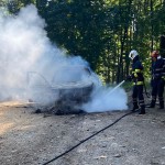  Autoturism mistuit de flăcări în pădurea Bușaga - Curtea de Argeș (1)
