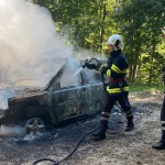  Autoturism mistuit de flăcări în pădurea Bușaga - Curtea de Argeș (2)