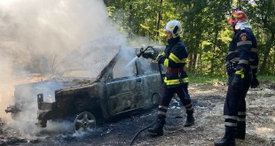  Autoturism mistuit de flăcări în pădurea Bușaga - Curtea de Argeș (2)