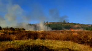 Incendiu de vegetație uscată la Călinești