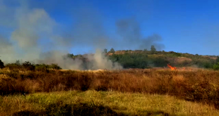 Incendiu de vegetație uscată la Călinești