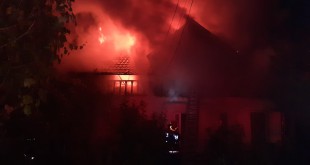 Incendiu violent la o casă în Ștefănești (2)