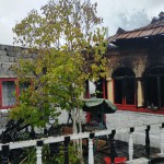 Incendiu violent într-o gospodărie din Hârtiești (3)