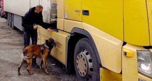 Controale în trafic cu mascaţi şi câine de urmă la Albota (3)