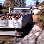 Maşini încărcate cu lemne depistate de jandarmi (1)