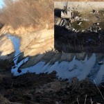 Resturi de animale aruncate în albia râului (3)