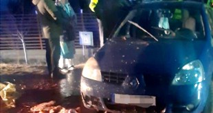  Accident produs între un autoturism și o căruță în Costești