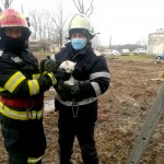 Motan salvat de pompieri (1)