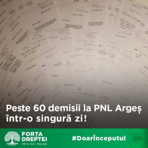 demisia din PNL Argeș