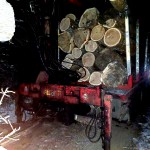 transport ilegal de lemn (1)