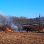 incendiu de vegetație (2)