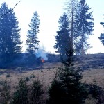 incendiu de vegetație (7)