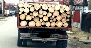 transport de material lemnos