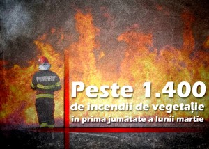 ISU Arges-incendiile de vegetație