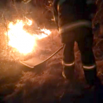 Incendiu Baloteasca, Topoloveni si Călinești (1)